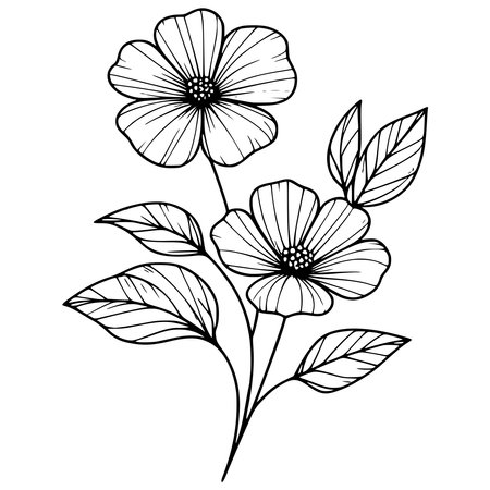 Vector Monochrome Floral Isolated Illustration. Hand Drawn Wildflowersのイラスト素材