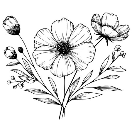 Hand drawn poppy flower and leaves. Floral botanical illustration in line art style.のイラスト素材
