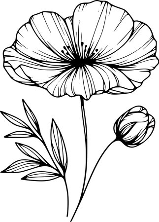 Black and White Poppy Flowers. Vector illustration ready for vinyl cutting.のイラスト素材