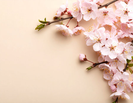 Beautiful blossoming branches on beige background, close-upの素材