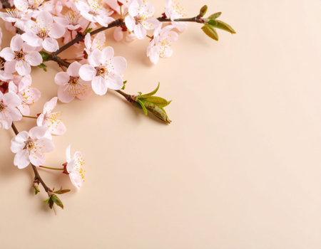 Beautiful blossoming branches on beige background, close-upの素材