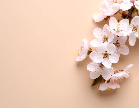 Beautiful blossoming branches on color background, top view. Space for textの素材