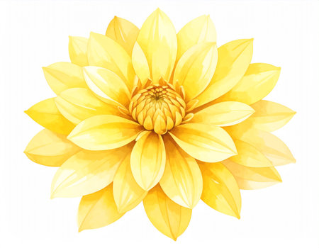 Beautiful yellow dahlia flower isolated on white background. Watercolor illustration.の素材