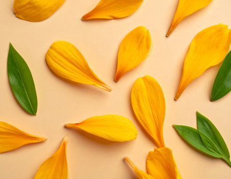 Beautiful yellow petals and green leaves on color background, top viewの素材