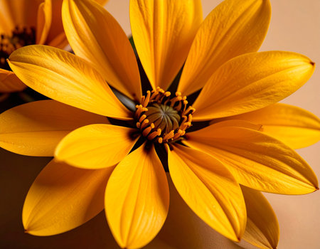 A closeup shot of a yellow daisy in a vaseの素材