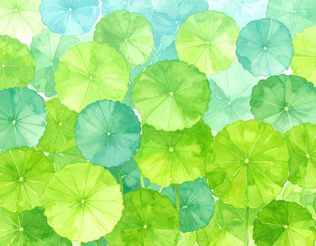 Watercolor green lotus leaves seamless pattern. Watercolor background.の素材