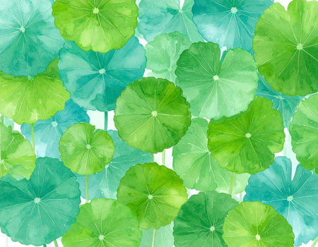 Watercolor green lotus leaves seamless pattern on white background. Vector illustrationの素材