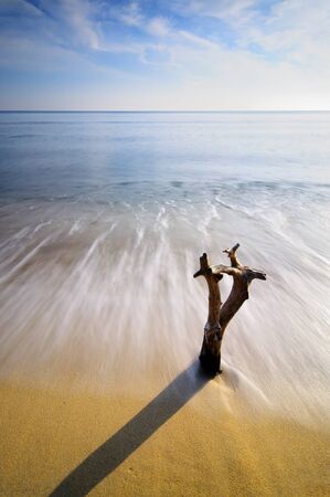 The Clock Shadowの写真素材