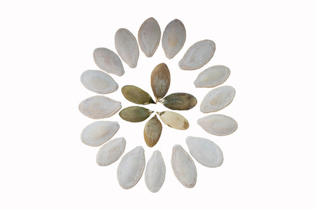 Pumpkin seeds on a white backgroundの写真素材
