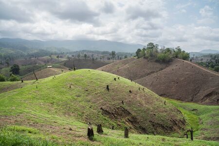 Deforestation on the mountain for agricultural at Tak province in Thailand.