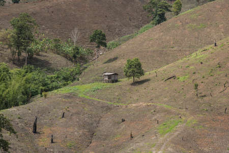 Deforestation on the mountain for agricultural at Tak province in Thailand.の写真素材