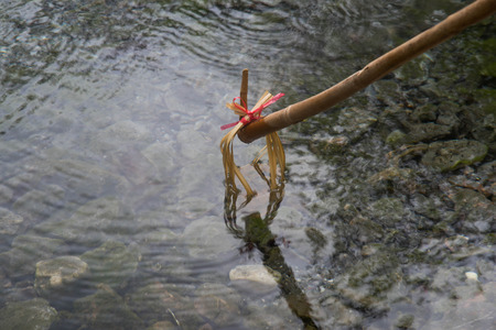 Spring hot water nature attractions in Pai district Mae hong son Province, Thailand.Thapai hot springの写真素材