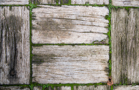 The wood block walk path in the gardenの写真素材