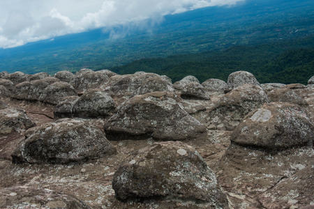 rocky button bedrock occurs naturally in Phu hin rong kra  national park,Phitsanulok province,Thailandの写真素材