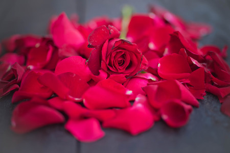 Red roses on wood background,Retro vintage ,Valentines Day