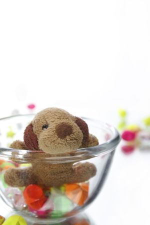 Close to the teddy bear and star on white backgroundの写真素材