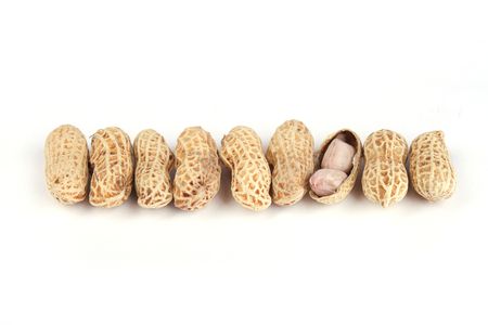 Peanuts in a row in which a show is not the sameの写真素材