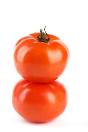 Two tomato stand isolated on white backgroundの写真素材
