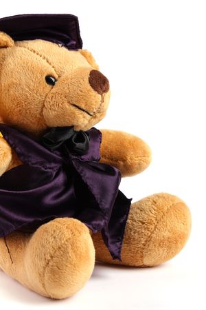 Mortar Board Teddy Bear on white backgroundの写真素材