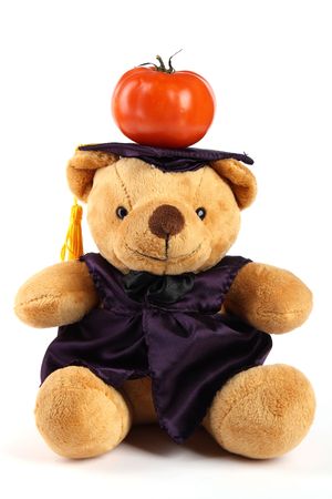 Mortar Board Teddy Bear with tomato on white backgroundの写真素材