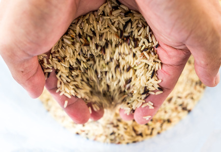 Hand holding raw brown rice to bucket