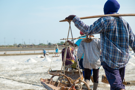 Salt worker carrying salt at saline, salt field.の写真素材