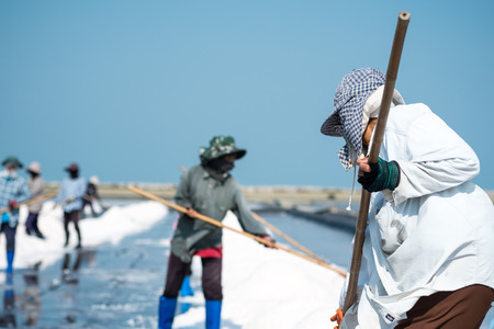 Phetchaburi, Thailand- March 11,2015: Unidentified workers gathering salt on the salines.のeditorial素材