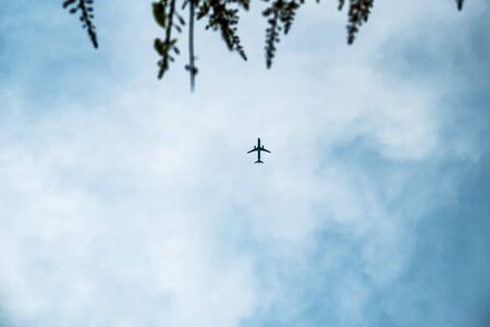 Passenger airplane in the clouds with blurred tree in foreground.の写真素材