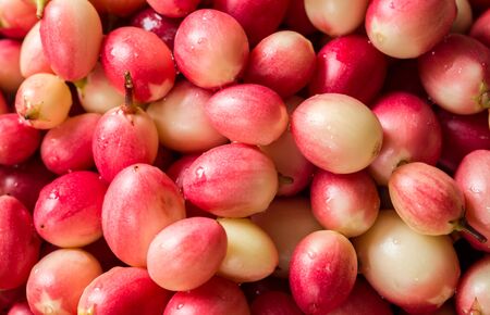 Fresh Carunda or Karonda. Full frame.の写真素材