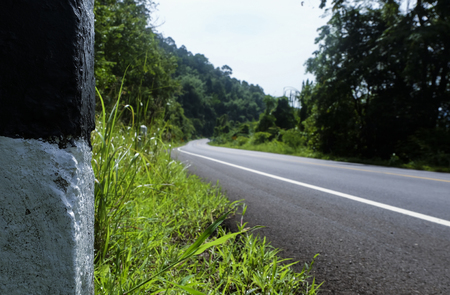 Empty road through the forest.の写真素材