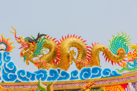 Dragon symbol of Asians の写真素材