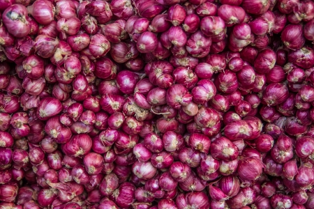 Red onions in plenty の写真素材