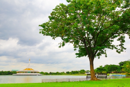 Green Park in the city of Bangkok in Thailandの写真素材