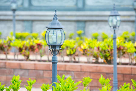 Lighting of the park.の写真素材