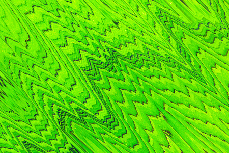 Background design of forms and colors, abstract art, fantasy dream.の写真素材