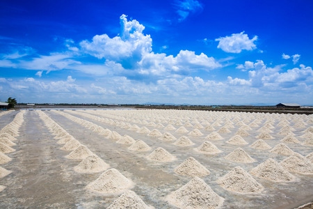 The salt industry is the largest salt  in Thailand. Phetchaburi Bang Tabun.の写真素材