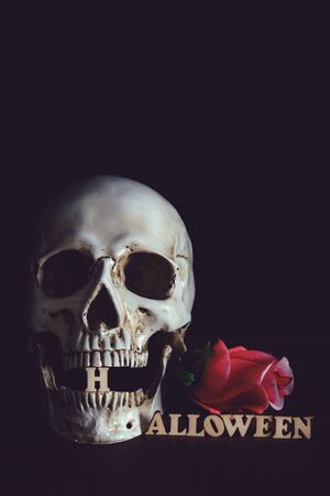 Human skull with red roses  and wooden alphabet Halloween  on black bagkground.の写真素材