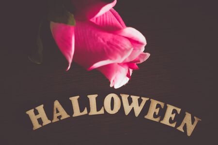 red roses  and wooden alphabet Halloween  on wood bagkground.の写真素材