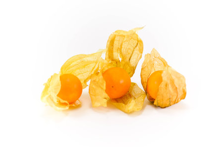 Cape Gooseberryの写真素材