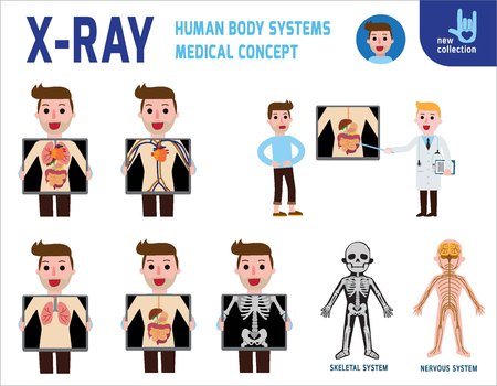 x-ray screen showing internal organs and skeleton.human body systems. digestive.medical health concept. infographic element.vector flat cartoon design. illustration.on white backgroundのイラスト素材