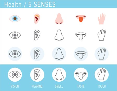 5 senses icon set. Touch, smell, hearing, vision, taste.eye, nose, ear, hand, mouth with tongue.flat and minimal line icons vector illustration.isolated on background.のイラスト素材