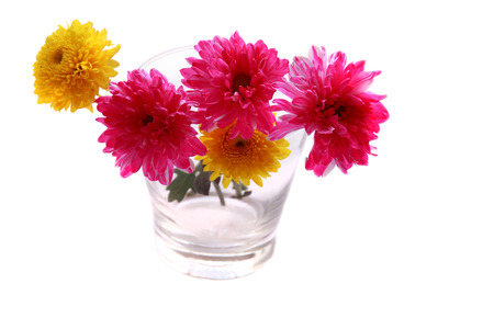 Colorful flowers