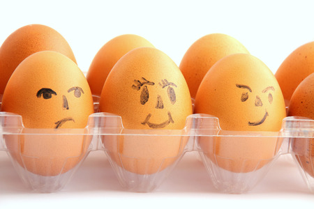 eggs dall on a white blackground close upの写真素材