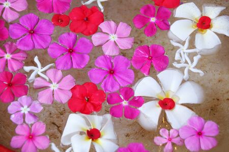 Colorful flowers floating on waterの写真素材