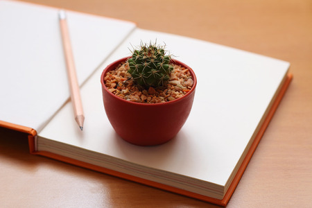 Cactus and pencil put on the book on the wooden tableの写真素材