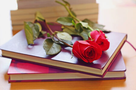Red roses placed on the purple bookの写真素材