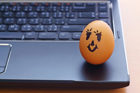 egg dall on the black notebookの写真素材