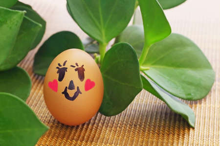 egg dall put beside leaf