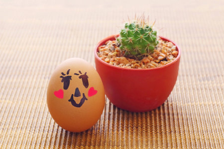 egg dall and cactus on the floor