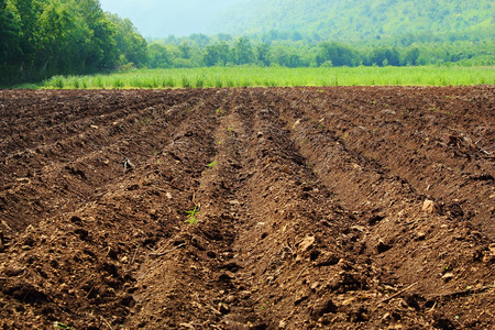 agricultural plots in the countryside